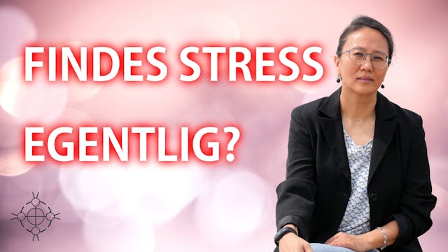 billede af online kurset: Findes stress egentlig?