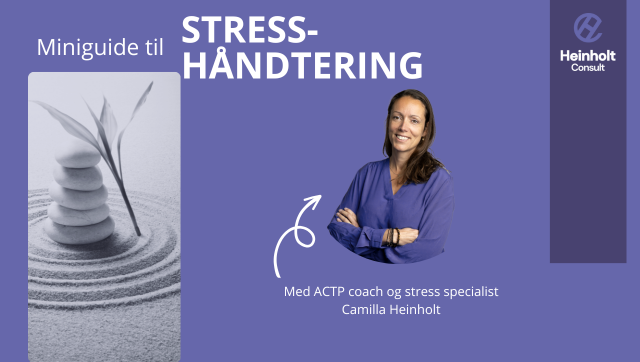 billede af online kurset: Miniguide til stresshåndtering