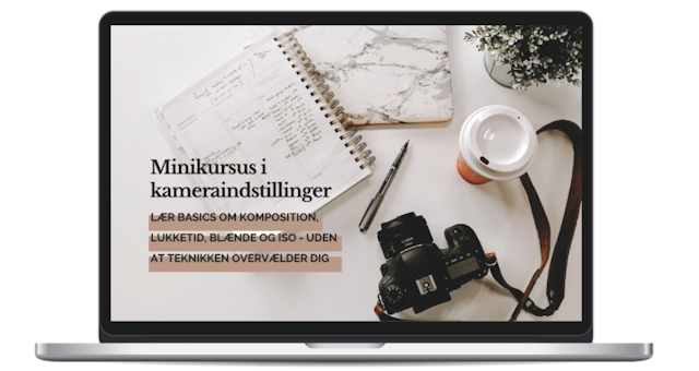 billede af online kurset: MINIKURSUS I KAMERAINDSTILLINGER - for den totale nybegynder