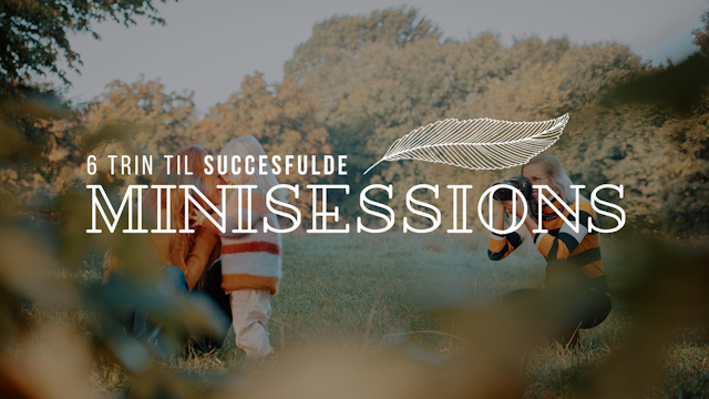 billede af online kurset: 6 Trin Til Succesfulde Minisessions
