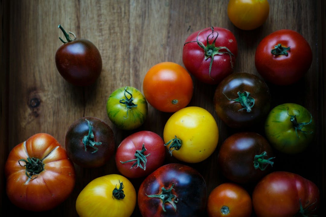 Flotte tomater i forskellige farver