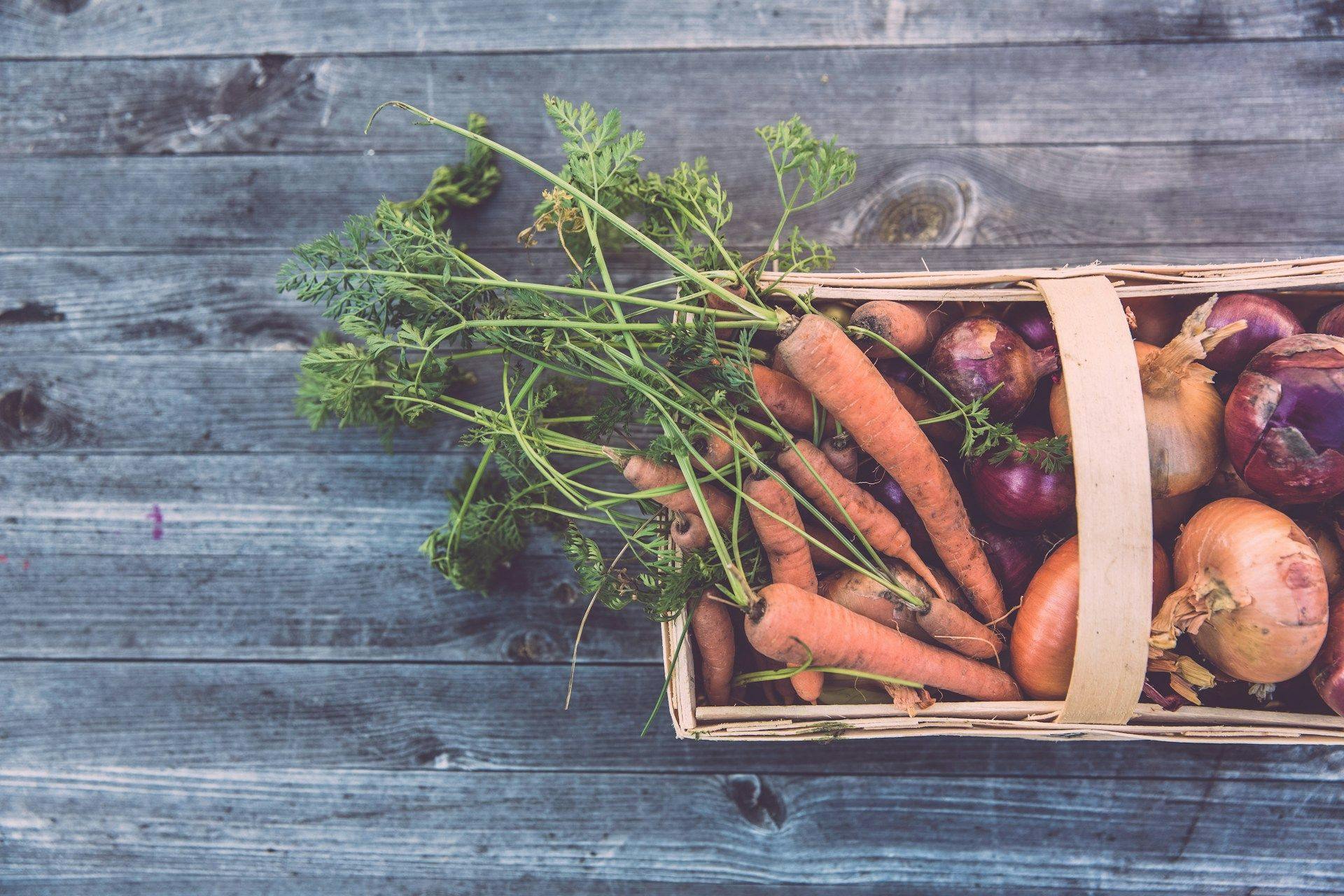 Kurv med friske grøntsager fra køkkenhaven, gulerødder løg og radiser