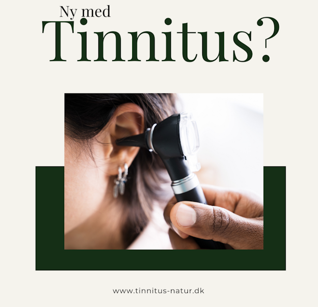 billede af kursus Ny med tinnitus?